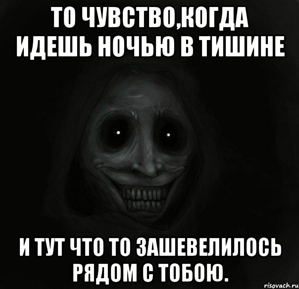 то чувство,когда идешь ночью в тишине и тут что то зашевелилось рядом с тобою., Мем Ночной гость