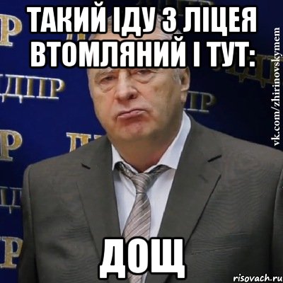 такий іду з ліцея втомляний і тут: дощ, Мем Хватит это терпеть (Жириновский)
