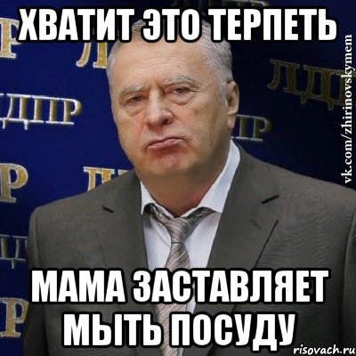 хватит это терпеть мама заставляет мыть посуду, Мем Хватит это терпеть (Жириновский)