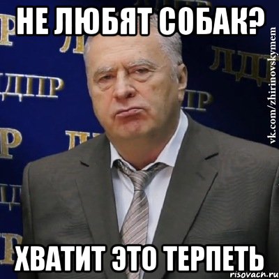 не любят собак? хватит это терпеть, Мем Хватит это терпеть (Жириновский)