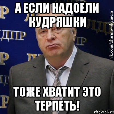 а если надоели кудряшки тоже хватит это терпеть!, Мем Хватит это терпеть (Жириновский)