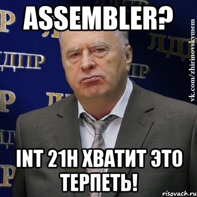 assembler? int 21h хватит это терпеть!, Мем Хватит это терпеть (Жириновский)