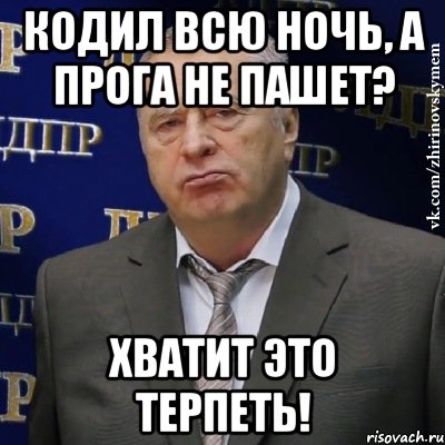 кодил всю ночь, а прога не пашет? хватит это терпеть!, Мем Хватит это терпеть (Жириновский)