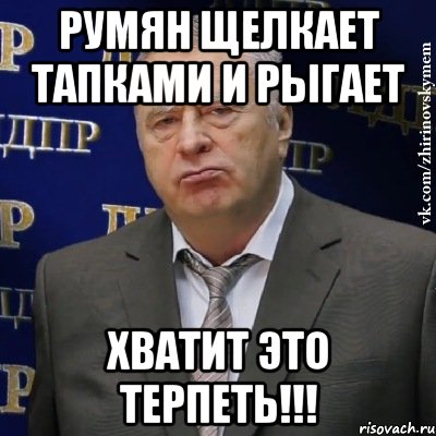 румян щелкает тапками и рыгает хватит это терпеть!!!, Мем Хватит это терпеть (Жириновский)