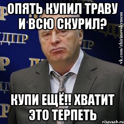 опять купил траву и всю скурил? купи ещё!! хватит это терпеть, Мем Хватит это терпеть (Жириновский)