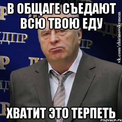 в общаге съедают всю твою еду хватит это терпеть, Мем Хватит это терпеть (Жириновский)