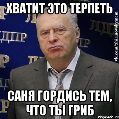 хватит это терпеть саня гордись тем, что ты гриб, Мем Хватит это терпеть (Жириновский)