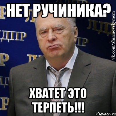 нет ручиника? хватет это терпеть!!!, Мем Хватит это терпеть (Жириновский)