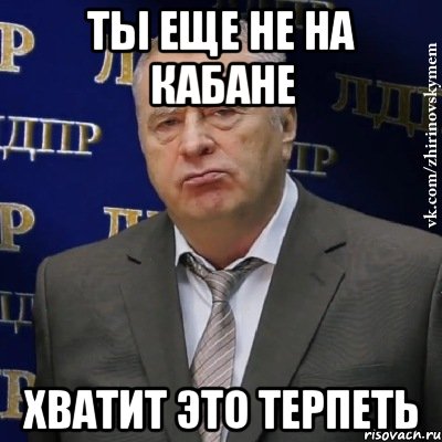 ты еще не на кабане хватит это терпеть, Мем Хватит это терпеть (Жириновский)