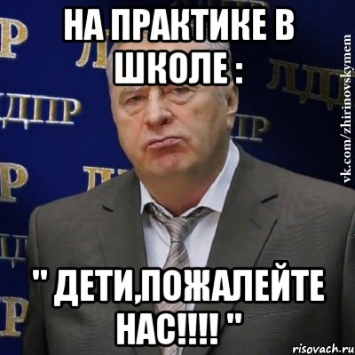 на практике в школе : " дети,пожалейте нас!!! ", Мем Хватит это терпеть (Жириновский)