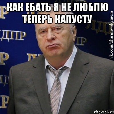 как ебать я не люблю теперь капусту , Мем Хватит это терпеть (Жириновский)