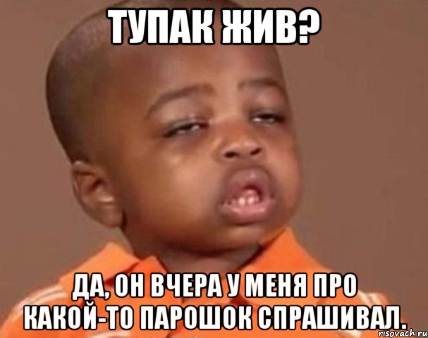 тупак жив? да, он вчера у меня про какой-то парошок спрашивал., Мем  Какой пацан (негритенок)