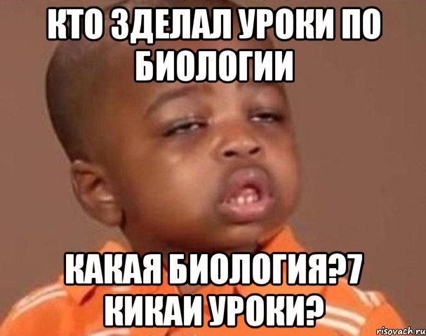 кто зделал уроки по биологии какая биология?7 кикаи уроки?, Мем  Какой пацан (негритенок)