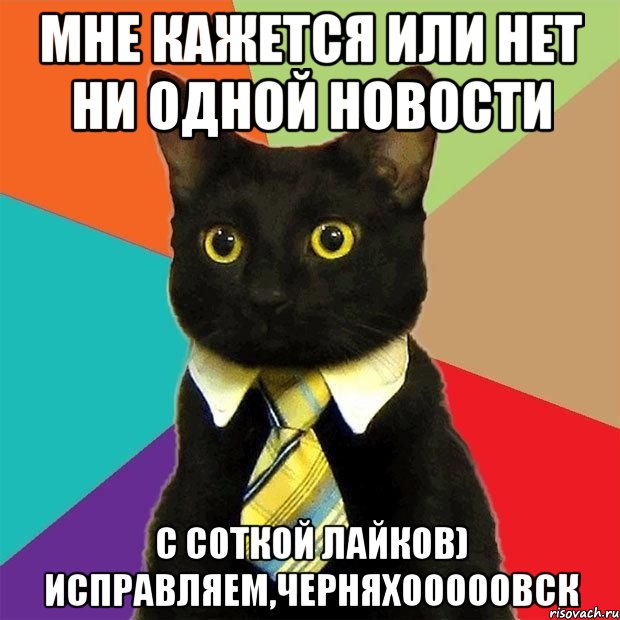 мне кажется или нет ни одной новости с соткой лайков) исправляем,черняхооооовск, Мем  Кошечка