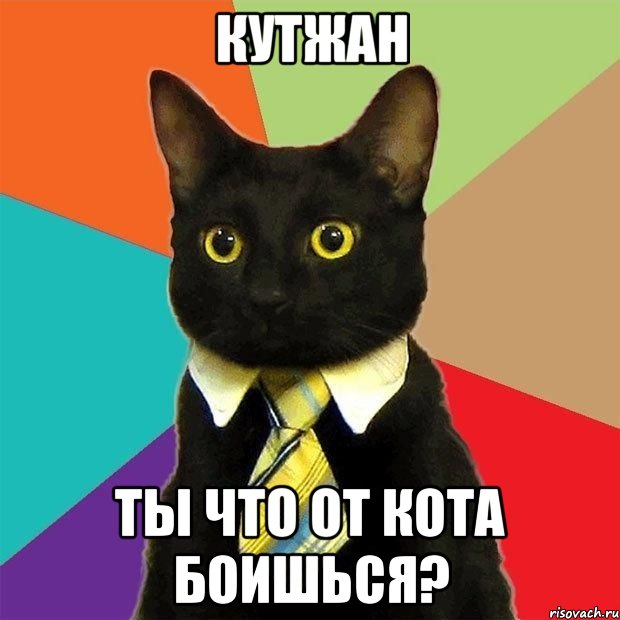 кутжан ты что от кота боишься?