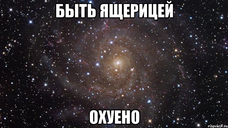 быть ящерицей охуено, Мем  Космос (офигенно)