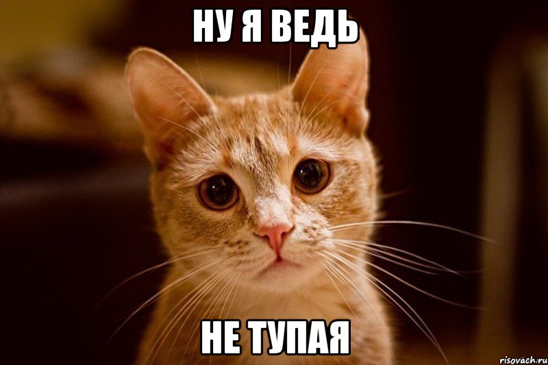 ну я ведь не тупая