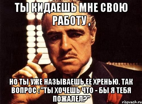 ты кидаешь мне свою работу , но ты уже называешь ее хренью. так вопрос : "ты хочешь что - бы я тебя пожалел?", Мем крестный отец