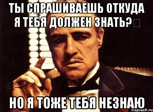 ты спрашиваешь откуда я тебя должен знать?‎ но я тоже тебя незнаю, Мем крестный отец