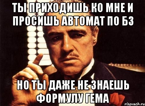 ты приходишь ко мне и просишь автомат по бз но ты даже не знаешь формулу гема, Мем крестный отец