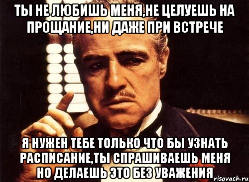 ты не любишь меня,не целуешь на прощание,ни даже при встрече я нужен тебе только что бы узнать расписание,ты спрашиваешь меня но делаешь это без уважения, Мем крестный отец