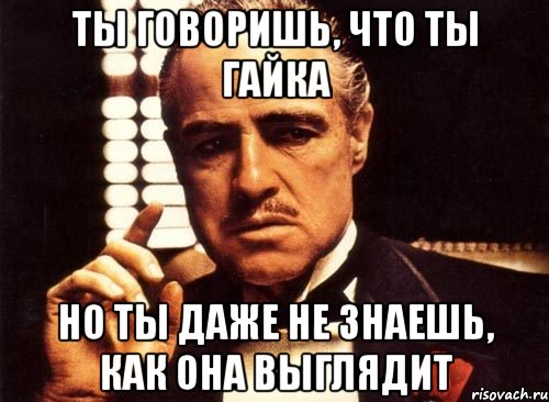 ты говоришь, что ты гайка но ты даже не знаешь, как она выглядит, Мем крестный отец