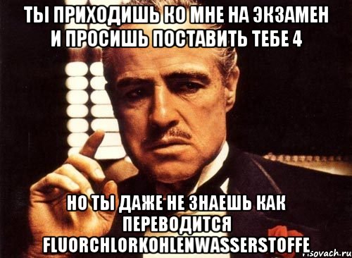 ты приходишь ко мне на экзамен и просишь поставить тебе 4 но ты даже не знаешь как переводится fluorchlorkohlenwasserstoffe, Мем крестный отец