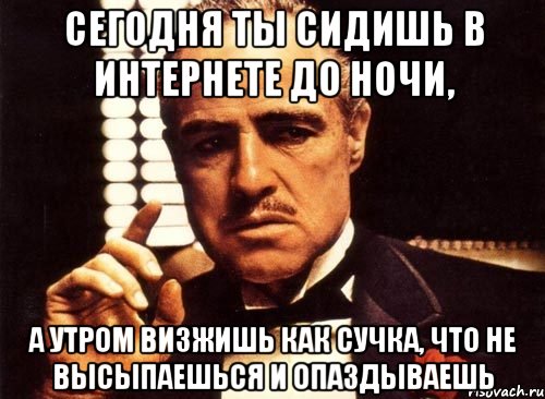 сегодня ты сидишь в интернете до ночи, а утром визжишь как сучка, что не высыпаешься и опаздываешь, Мем крестный отец