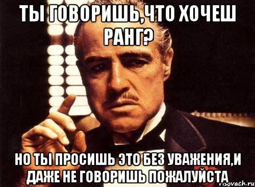 ты говоришь,что хочеш ранг? но ты просишь это без уважения,и даже не говоришь пожалуйста, Мем крестный отец