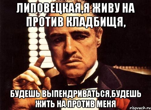 липовецкая,я живу на против кладбищя, будешь выпендриваться,будешь жить на против меня, Мем крестный отец