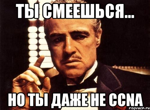 ты смеешься... но ты даже не ccna, Мем крестный отец