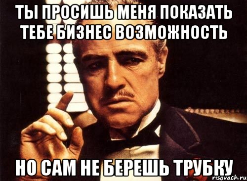 ты просишь меня показать тебе бизнес возможность но сам не берешь трубку, Мем крестный отец