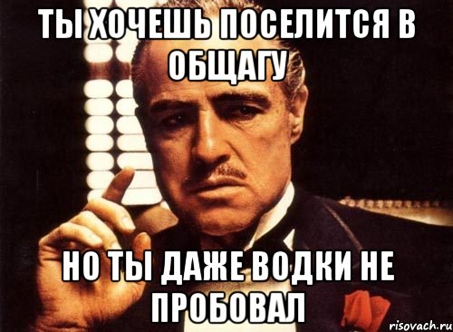 ты хочешь поселится в общагу но ты даже водки не пробовал, Мем крестный отец