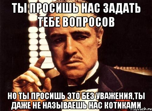 ты просишь нас задать тебе вопросов но ты просишь это без уважения,ты даже не называешь нас котиками, Мем крестный отец