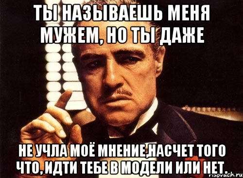 ты называешь меня мужем, но ты даже не учла моё мнение,насчет того что, идти тебе в модели или нет., Мем крестный отец