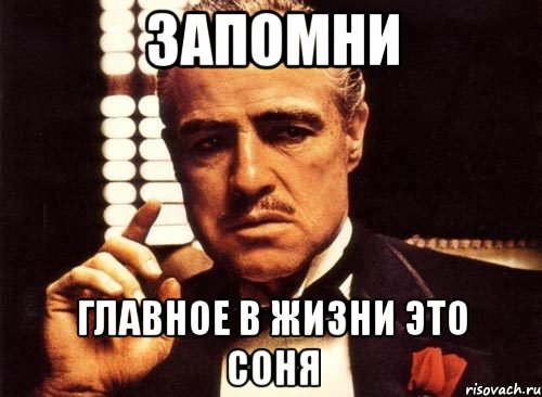 запомни главное в жизни это соня, Мем крестный отец