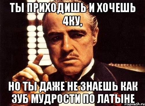 ты приходишь и хочешь 4ку, но ты даже не знаешь как зуб мудрости по латыне, Мем крестный отец