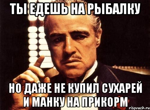 ты едешь на рыбалку но даже не купил сухарей и манку на прикорм, Мем крестный отец