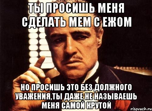 ты просишь меня сделать мем с ежом но просишь это без должного уважения,ты даже не называешь меня самой крутой, Мем крестный отец