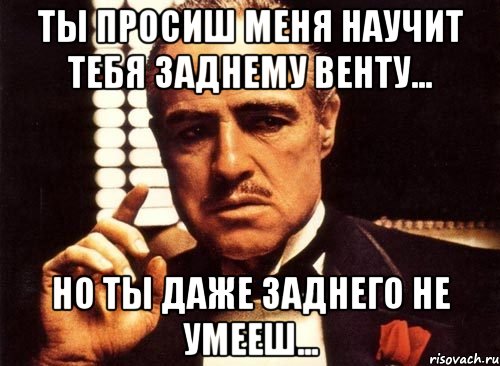 ты просиш меня научит тебя заднему венту... но ты даже заднего не умееш..., Мем крестный отец