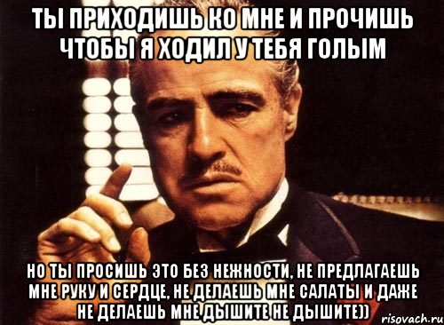 ты приходишь ко мне и прочишь чтобы я ходил у тебя голым но ты просишь это без нежности, не предлагаешь мне руку и сердце, не делаешь мне салаты и даже не делаешь мне дышите не дышите)), Мем крестный отец