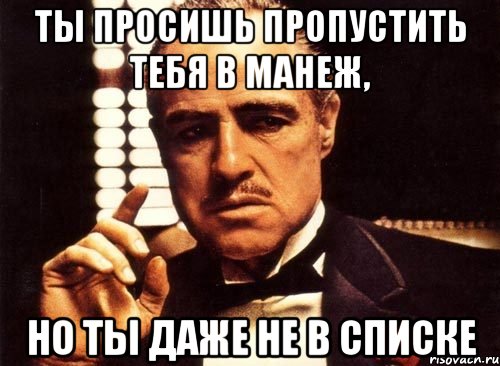 ты просишь пропустить тебя в манеж, но ты даже не в списке, Мем крестный отец