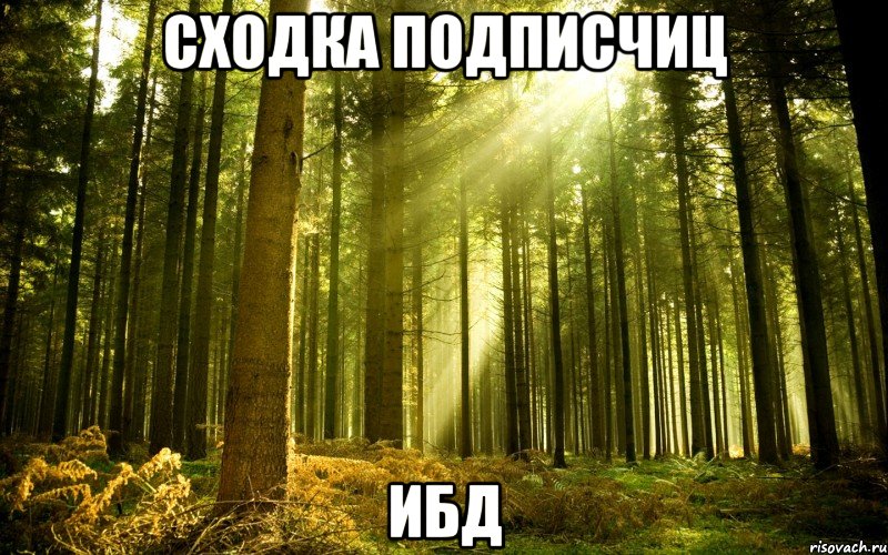 сходка подписчиц ибд, Мем Лес