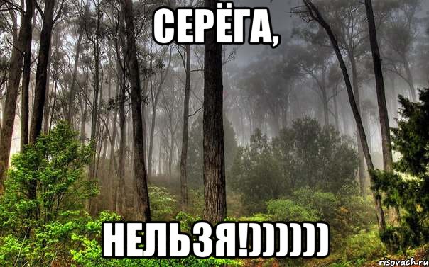 серёга, нельзя!)))))), Мем лес