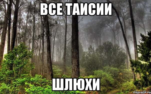 все таисии шлюхи, Мем лес