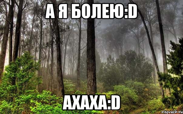 а я болею:d ахаха:d, Мем лес