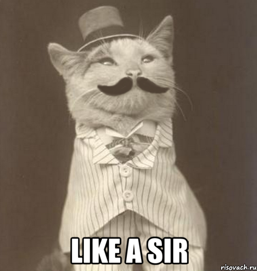  like a sir, Мем Like a Sir