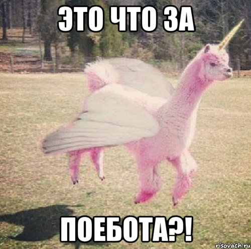 это что за поебота?!, Мем Llama