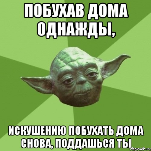 побухав дома однажды, искушению побухать дома снова, поддашься ты, Мем Мастер Йода