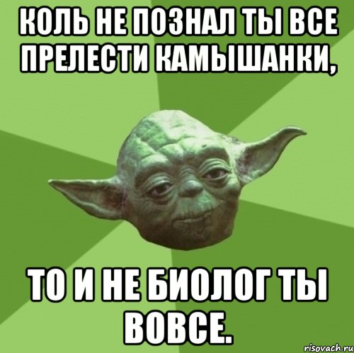 коль не познал ты все прелести камышанки, то и не биолог ты вовсе., Мем Мастер Йода